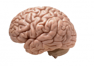 62e21777cc243.png