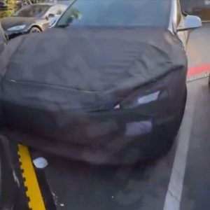 tesla-budget-model-y-china-spy-shot-leak.jpg