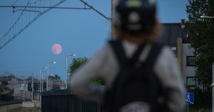 gettyimages-2228220605.jpg