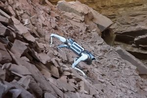 unitree-a2-stellar-explorer-robot-dog.jpg