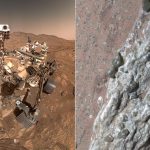 mars-rock-sign-of-life.jpg