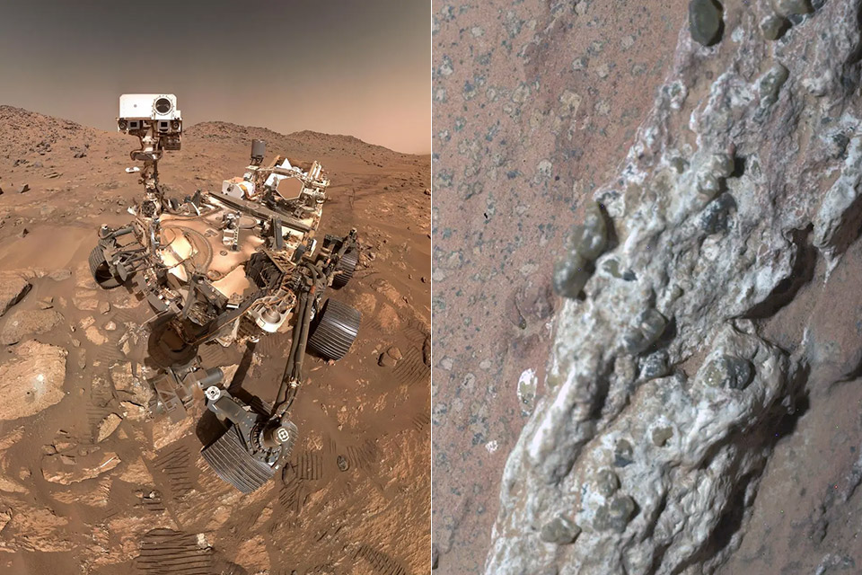 mars-rock-sign-of-life.jpg